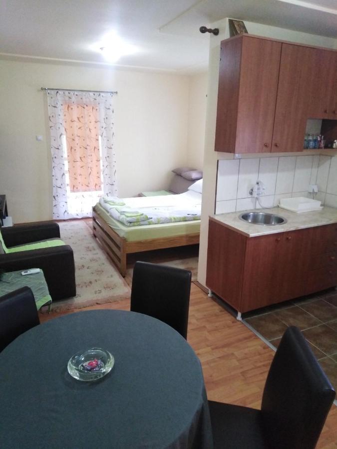 Apartman Sasa Banja Koviljača 外观 照片