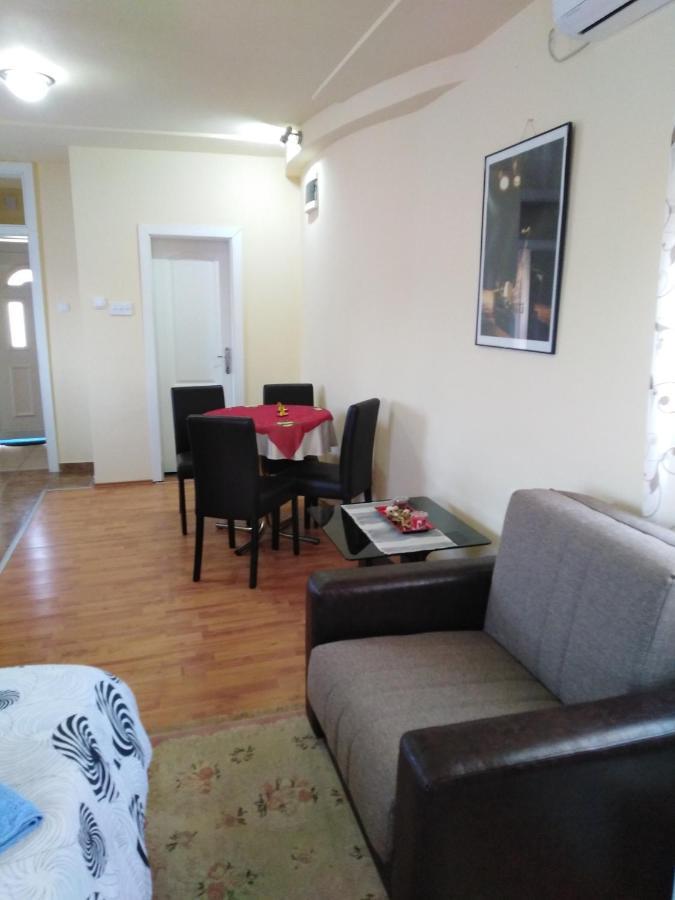 Apartman Sasa Banja Koviljača 外观 照片