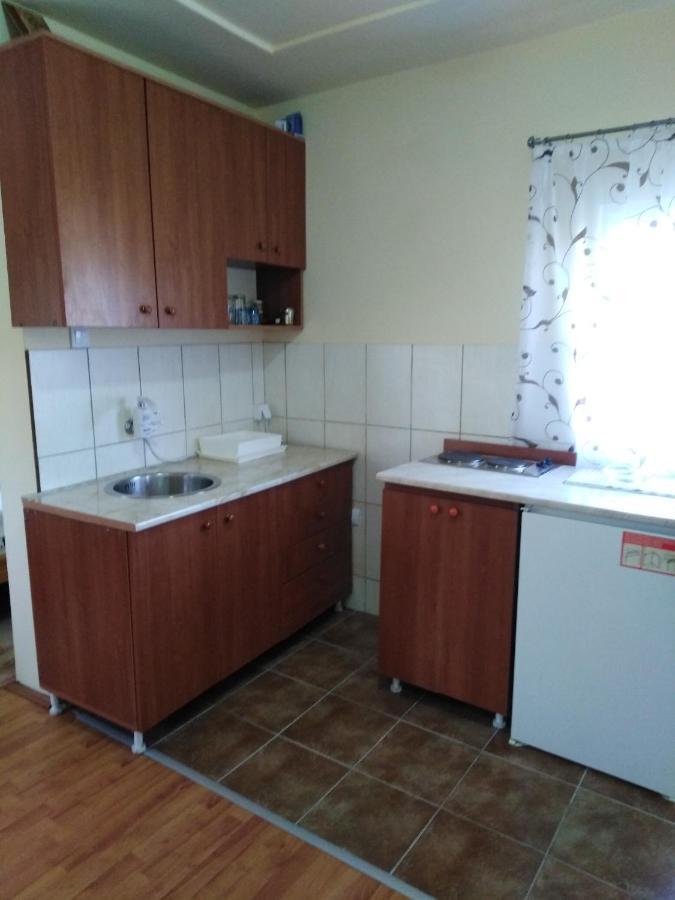 Apartman Sasa Banja Koviljača 外观 照片