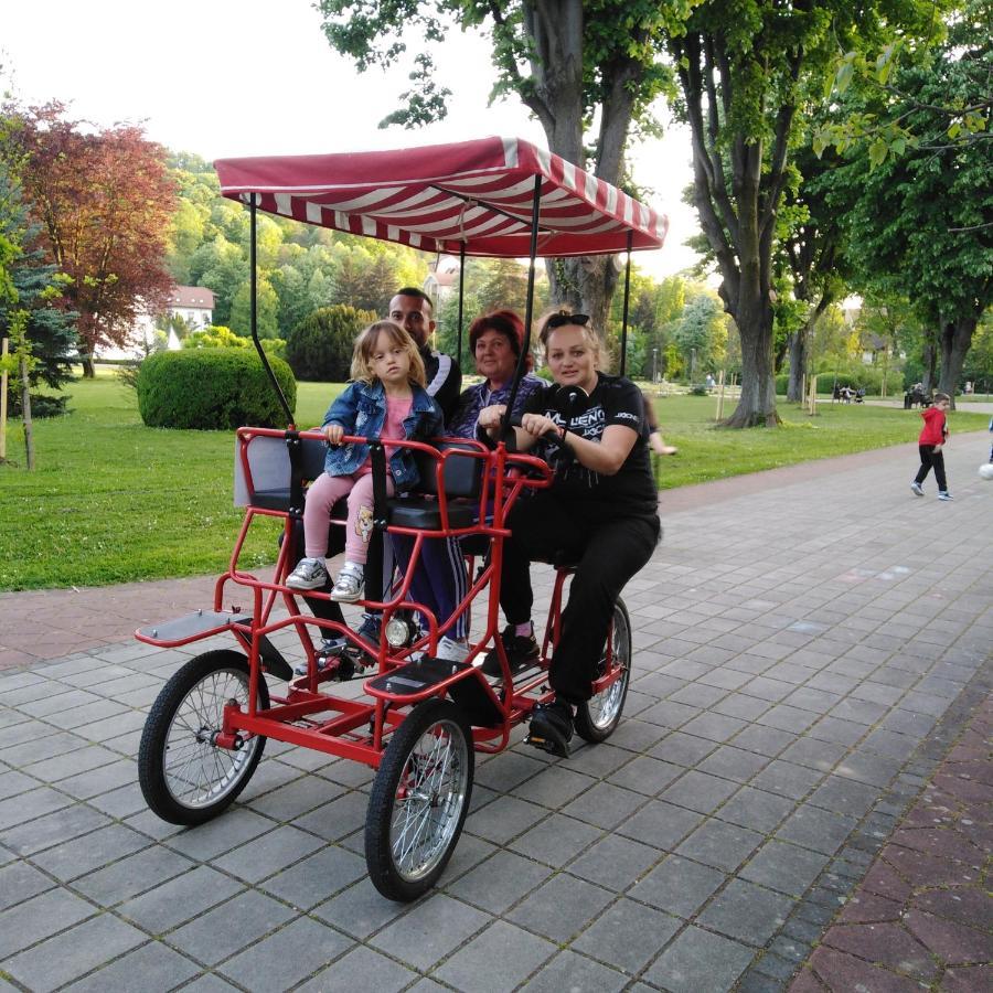 Apartman Sasa Banja Koviljača 外观 照片
